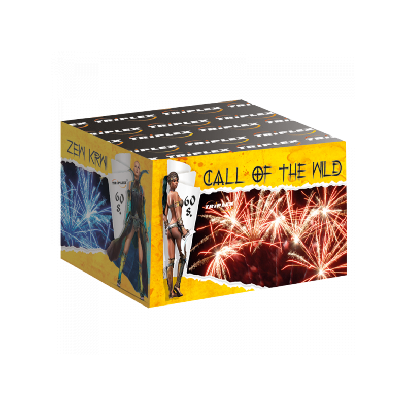 TXB438 Wyrzutnia Fajerwerków ZEW KRWI - 60 strzałów 20mm TXB438 Wyrzutnia Fajerwerków ZEW KRWI - 60 strzałów 20mm