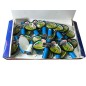 W526 TM Fajerwerki Motyle LARGE SPRING BUTTERFLIES - 12 sztuk