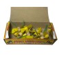 TM7 Fajerwerki Motylki SMALL YELLOW BEE - 12 sztuk