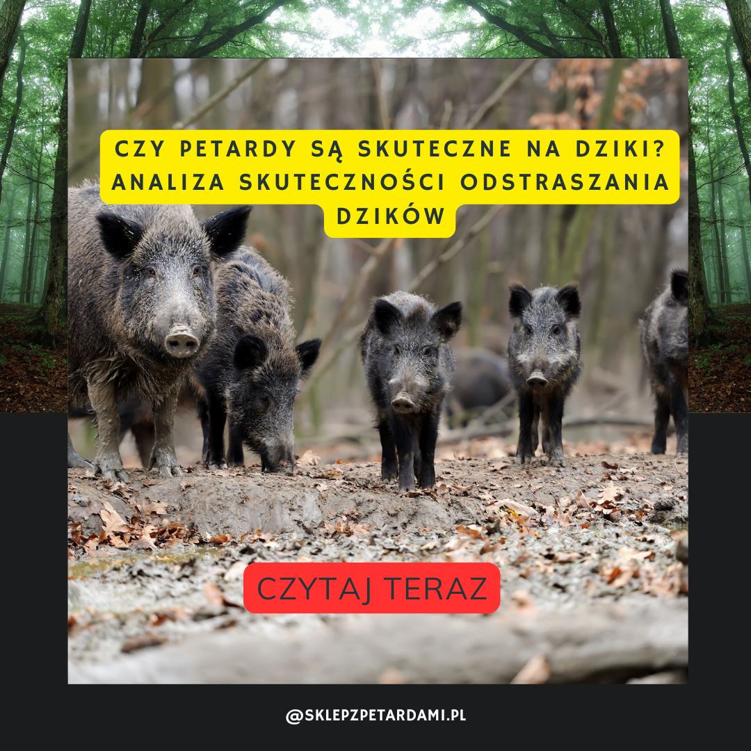 Czy petardy są skuteczne na dziki? Analiza skuteczności odstraszania dzików